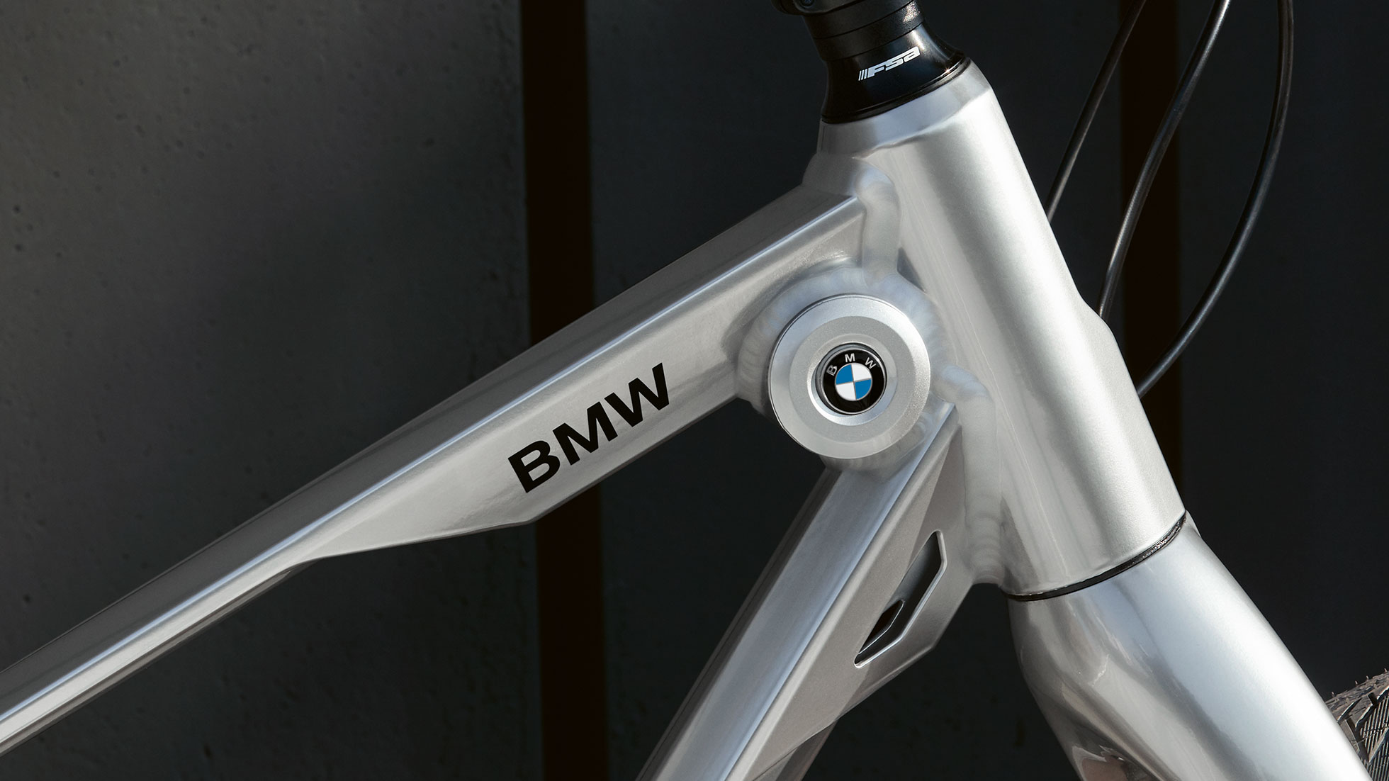 BMW Cruise Bike. The picture shows a BMW Cruise Bike. The BMW logo and the BMW wordmark are clearly visible on the front part of the frame.